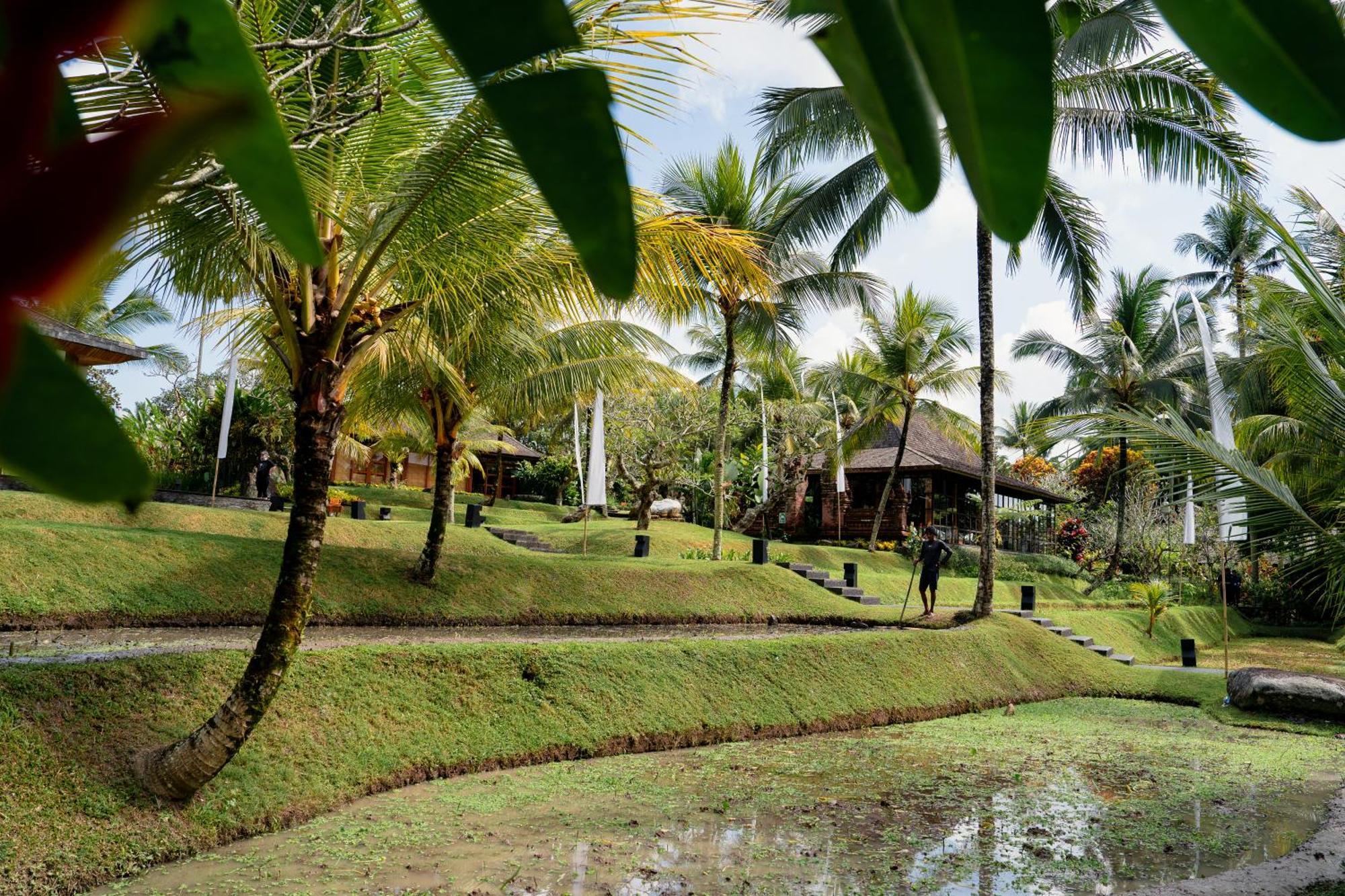 Hotel Chapung Sebali Ubud Esterno foto